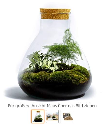 Flaschengarten ewiges Terrarium kaufen ewigesterrarium.de